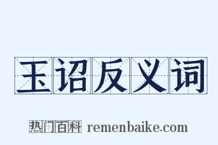 玉诏反义词是什么意思的图片